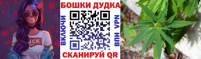 Где купить наркоту Ачхой-Мартан Бошки Шишки  КОКАИН  Кетамин  Меф 