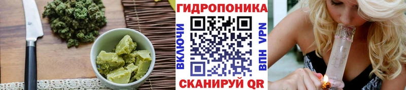 МЕГА зеркало  Ачхой-Мартан  Cannafood конопля 