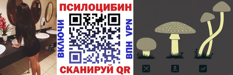 Псилоцибиновые грибы мухоморы  где можно купить наркотик  Ачхой-Мартан 